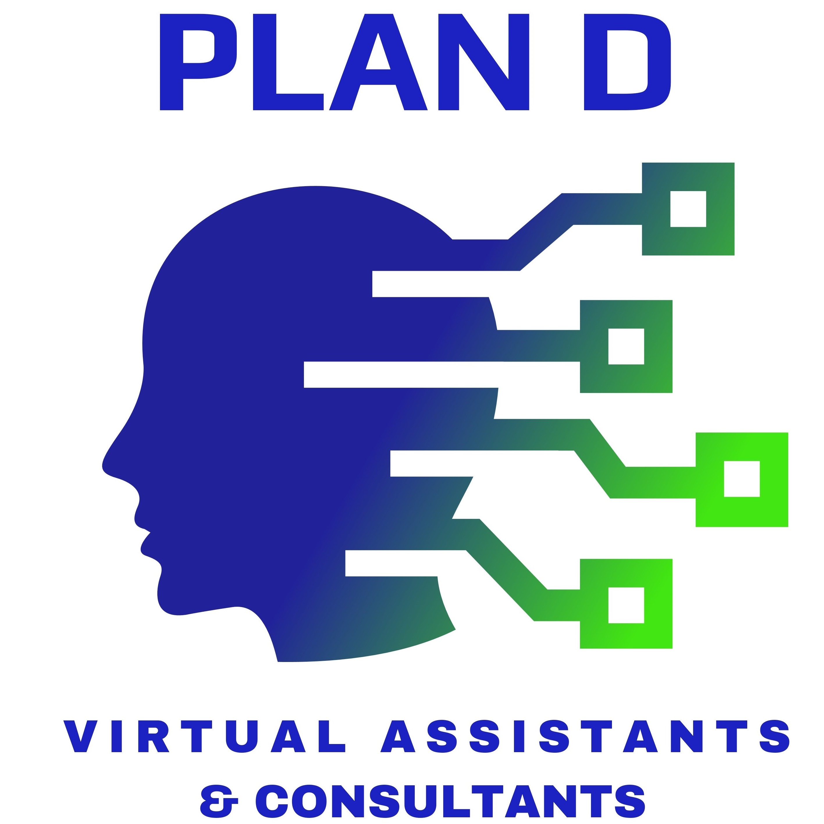 Plan D Virtual Assistants